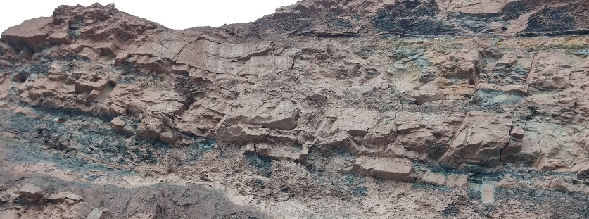 Pouvez-vous trouver les 5 arbres ? On a trouvé la strate !