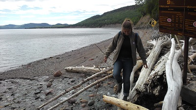 Sur la plage aux fossiles