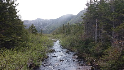 Début de randonnée dans le brouillard