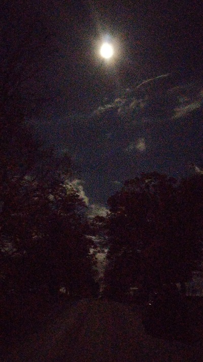 Parce que c'est la pleine lune...