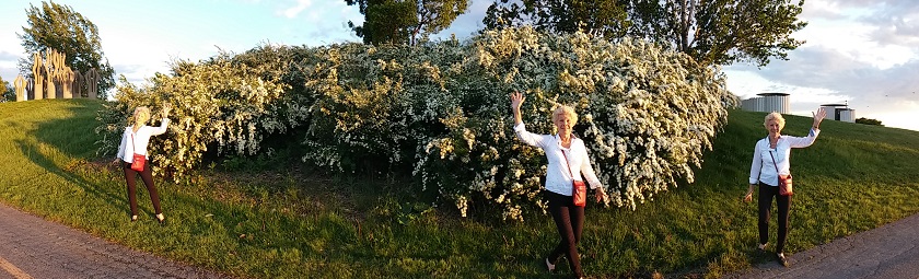 À Montréal, juin, c'est le printemps. Les lilas sont là&nbsp;! Au revoir, au revoir, et merci&nbsp;!