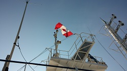 Une feuille d'érable au dessus d'Isa